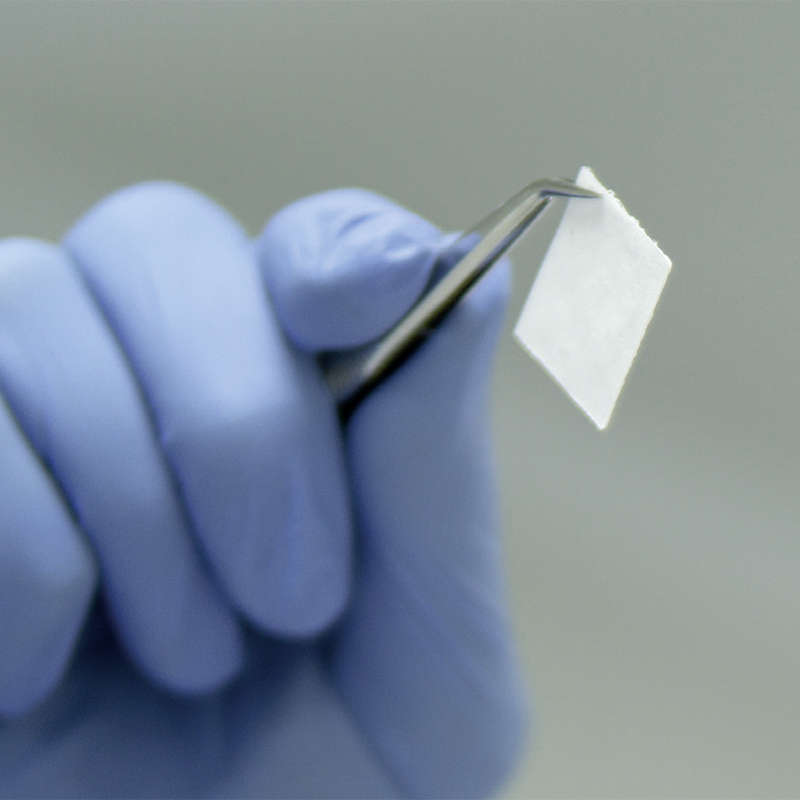 Powerbone Resorbierbare synthetische Membran für die dentale Chirurgie RUNDAS